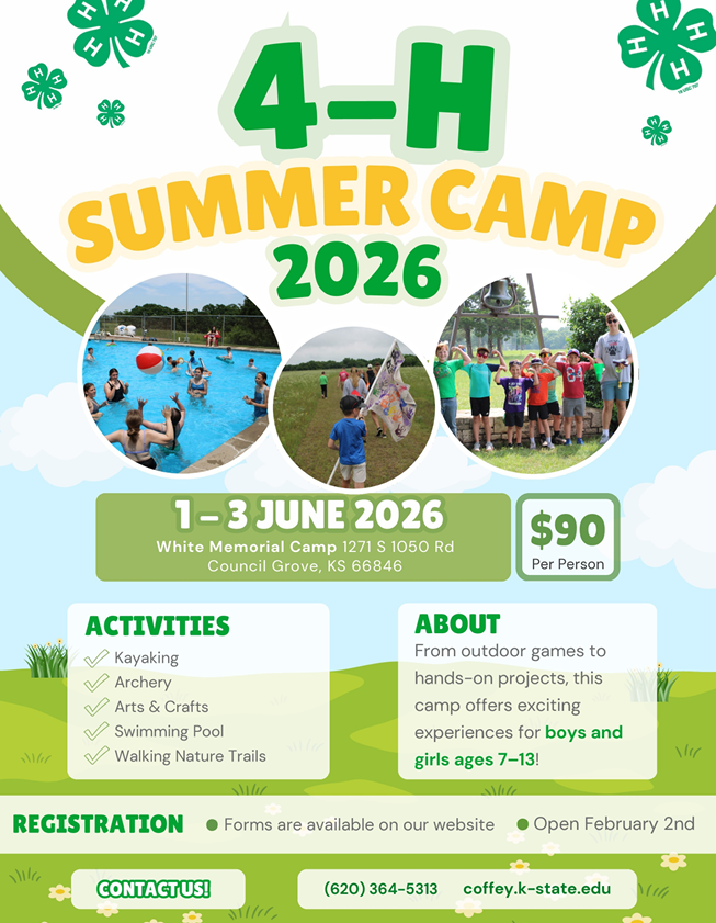 2026 4-H Camp Flyer